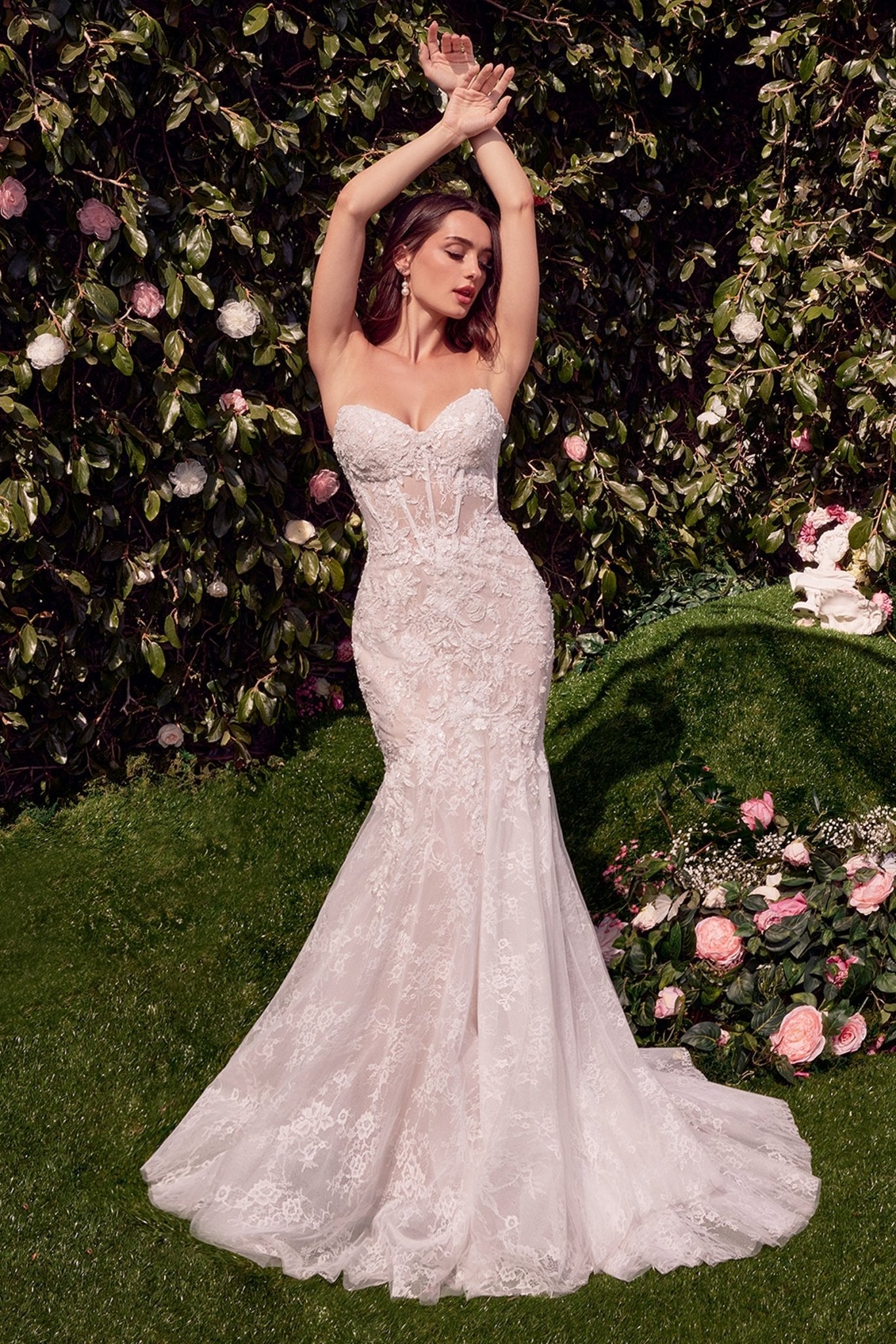 WL031 | MERMAID DRESS – Ladivine by Cinderella Divine | Shop