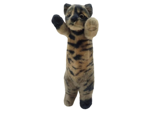 たっちぃZooぷち | 商品カテゴリー | 株式会社リード