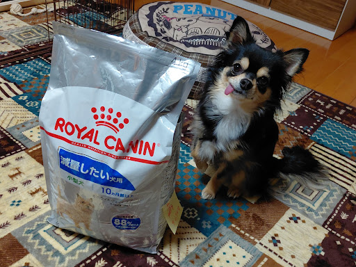 ロイヤルカナン ミニライトウェイトケア（成犬時体重予測10kg以下推奨