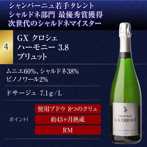 1本/5,200円】送料無料 シャンパンセット！実力派メゾンだけを集めた