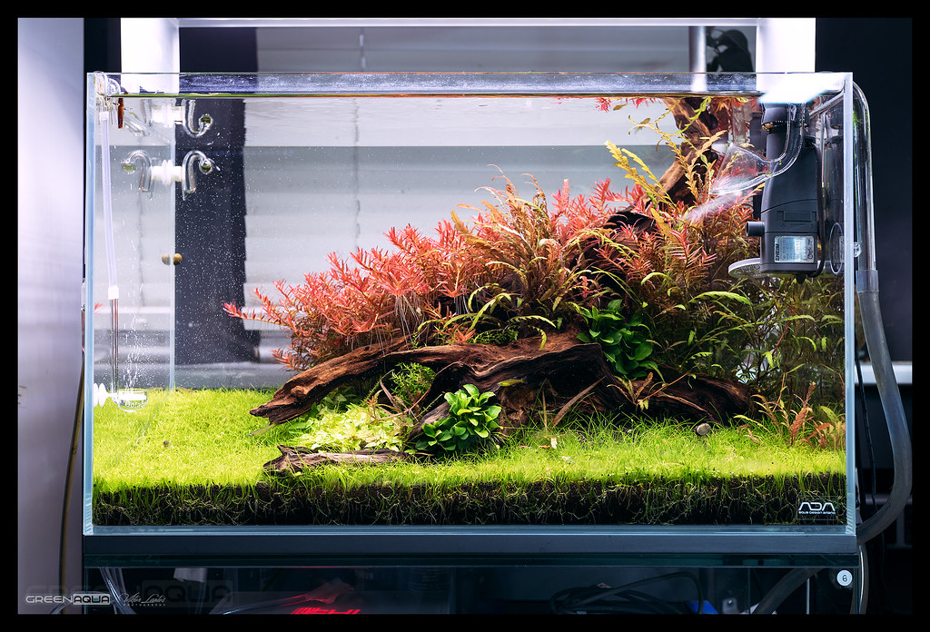 ADA LED照明アクアスカイ451 アクアデザインアマノ 45cm水槽用 ADA