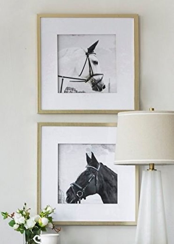 輸入雑貨 アートフレーム 額絵 2枚セット 馬 クラシックモダン