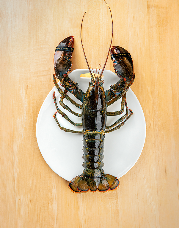 Chicks - Chef Box (22 pcs) - Lobster Boys