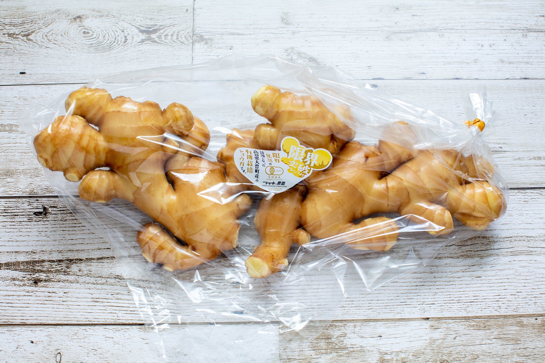 1/6より発送開始 限界突破ショウガ1kg – ラッキー農園 web shop