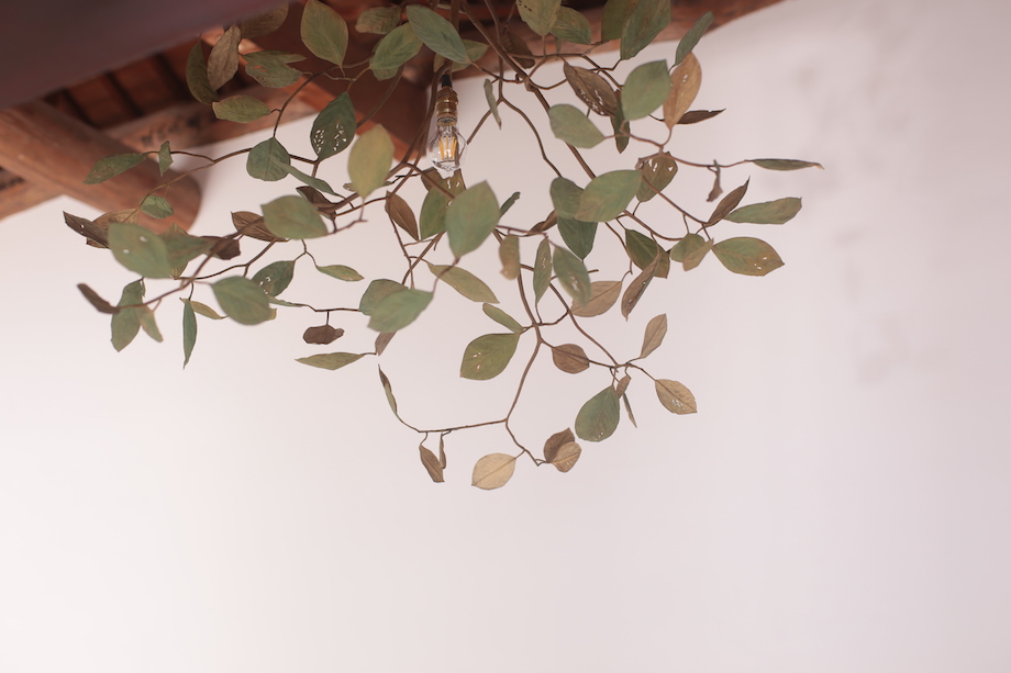 これが金属？！ モリソン小林の作品展「small plants」IDÉE TOKYOにて