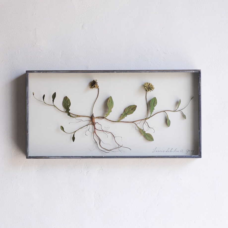 これが金属？！ モリソン小林の作品展「small plants」IDÉE TOKYOにて
