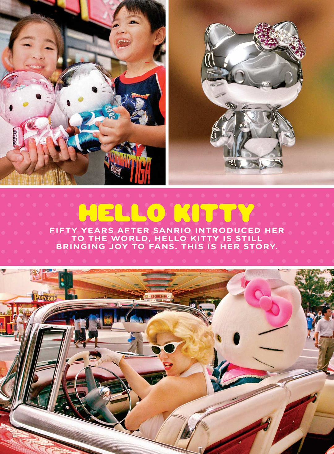 Hello Kitty - Ultimate Fan Guide: Designer Yuko Shimizu, Facts