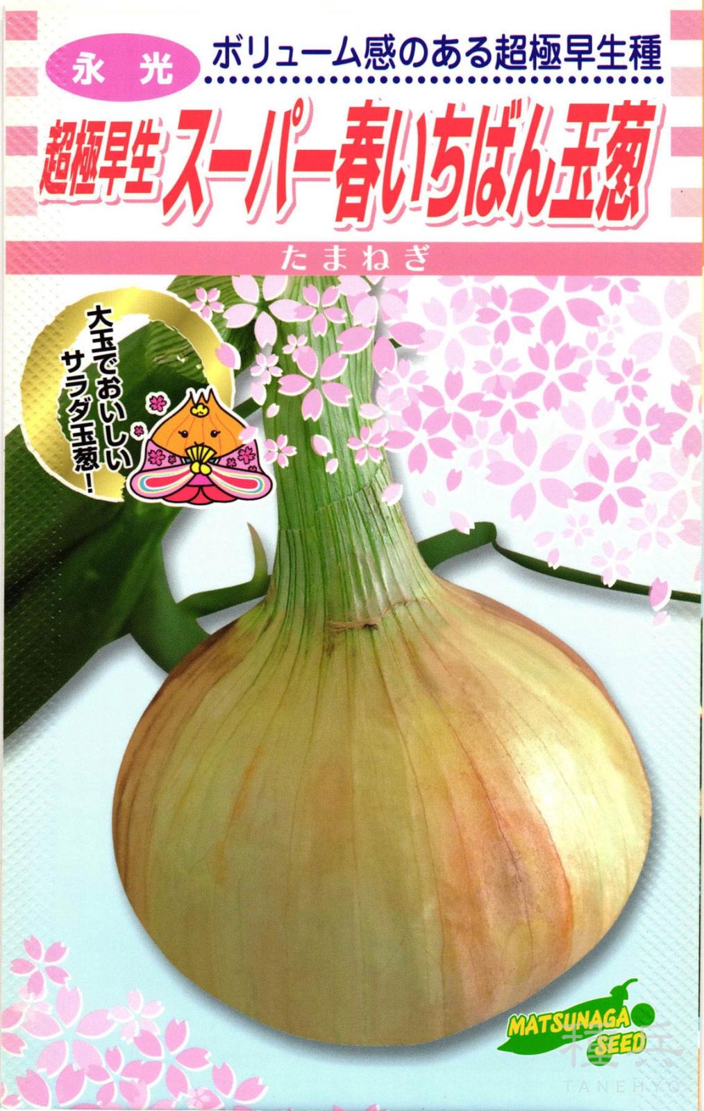 超極早生タマネギ 種 『スーパー春いちばん』 松永種苗 | たね,根菜の