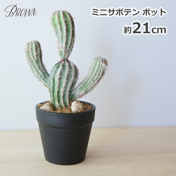 フェイクグリーン 観葉植物 人工観葉植物 造花 おしゃれ サボテンミニ