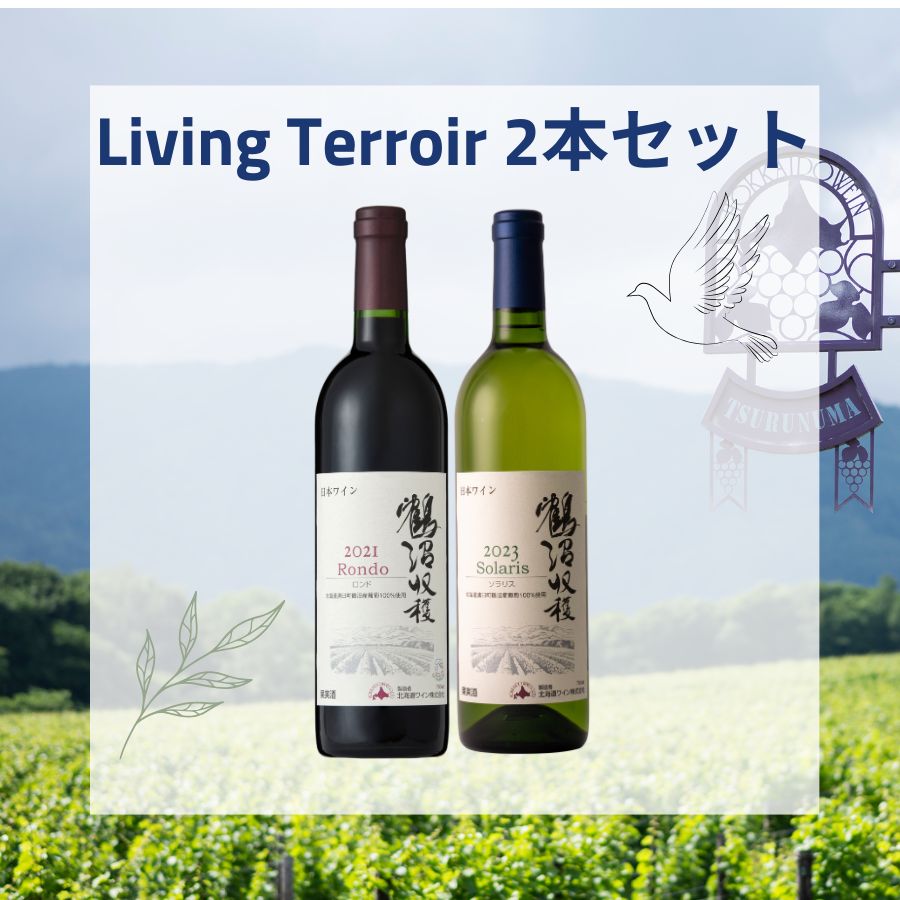 天使の雫・ワイナリービールアソートセット330mlx12本セット | ビール