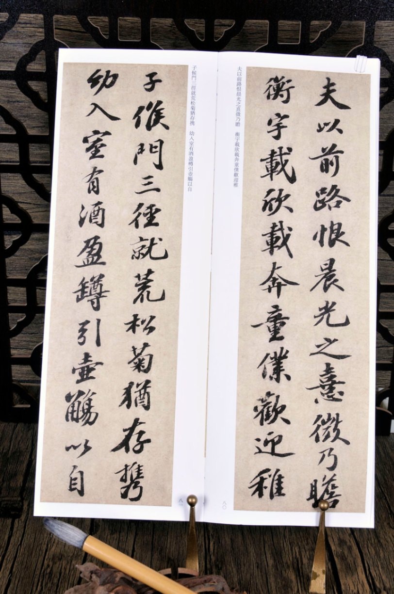 蘇軾 黄州寒食詩帖 赤壁賦 帰去来辞 中国書跡名品 臨書カード/苏
