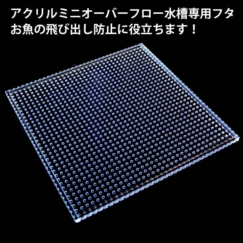 アクリルミニオーバーフロー水槽【変えれま水位】専用塩ビパンチ板フタ