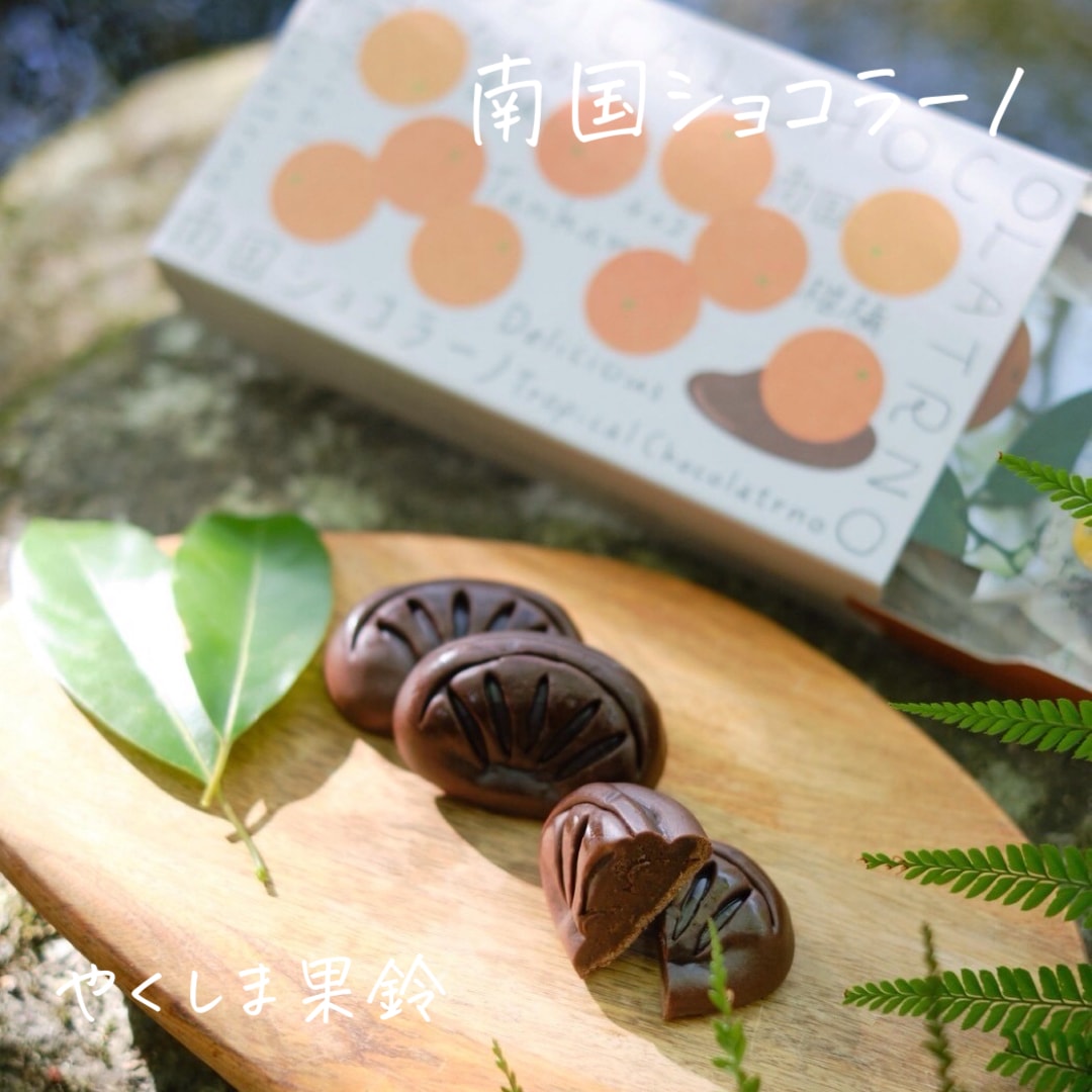 南国ショコラーノ』（6個入）TROPICAL CHOCORATRNO | 果鈴オリジナル