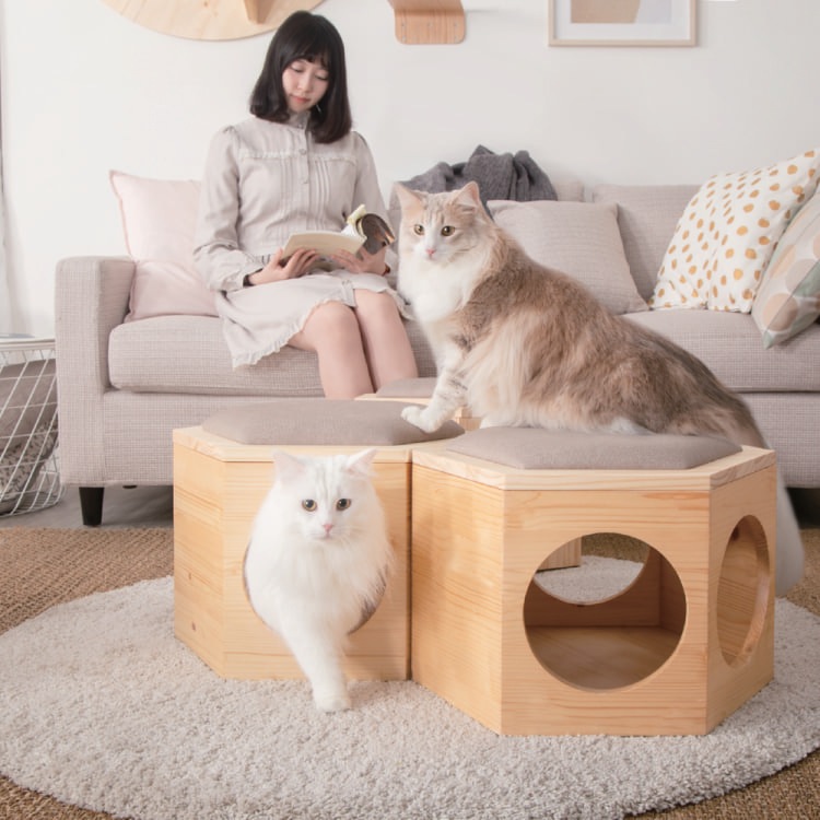 MYZOO マイズー BUSYCAT 六角ハウススツール チェアプレート単体