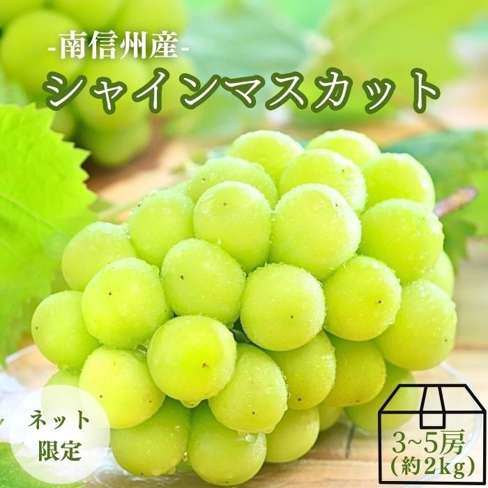 S006 ぶどう シャインマスカット約1.2kg(2房)【冷蔵】 9月中旬～10月