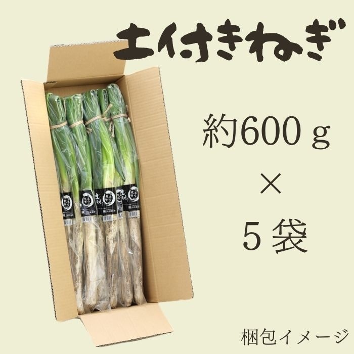 S702 土付きねぎ 約3kg(600g×5袋) 1月中旬～発送 | その他 | JAみなみ