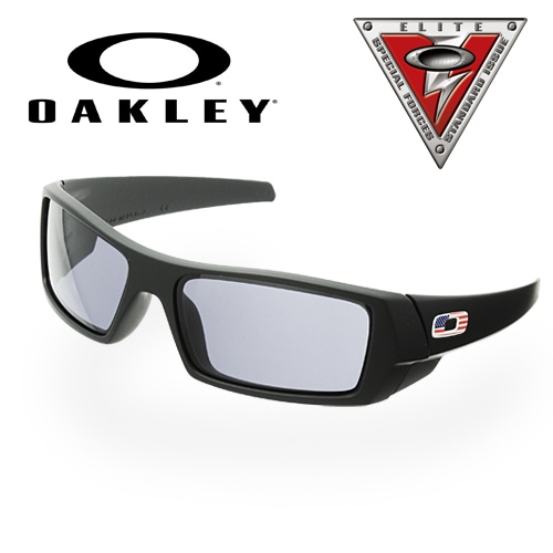 【美品】Oakley Gascan Flying tigers【レア品】 楽天市場】オークリー ガスカン 03-473 ハイブリッジフィット