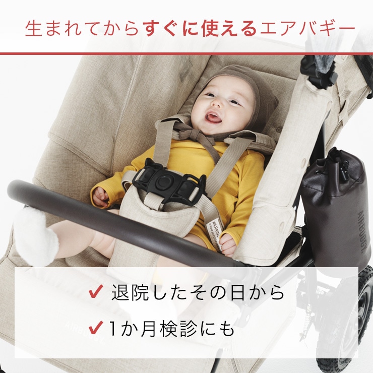 エアバギー AirBuggy ココ ブレーキEX フロムバース ミント 通販 ブリベビ