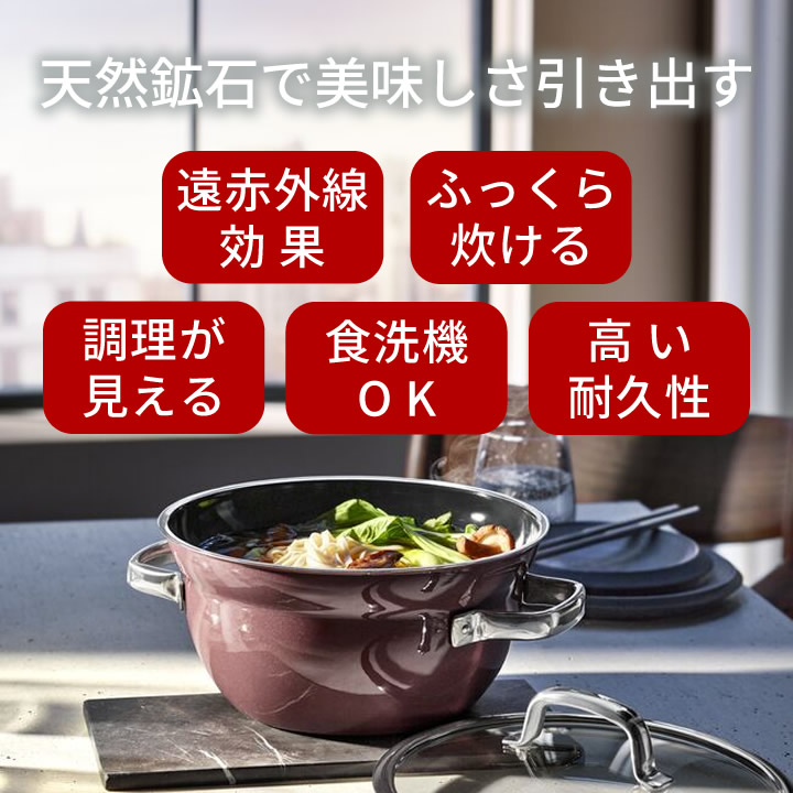 フュージョンテック ミネラル ライスポット 20cm WMF - キッチン雑貨