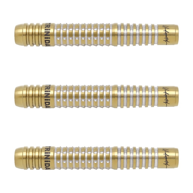 S-DARTS限定版【トリニダード】リカルドα 浅田斉吾モデル 2BA ダーツ > ソフトダーツ > ブランド【タ行】 > トリニダード > PRO