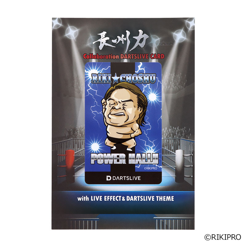 DARTSLIVE 非売品カード アクセサリ > ダーツライブカード > DARTSLIVE PLAYER GOODS第六弾