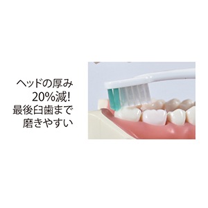 ｾｰﾙ】ルシェロ B-21ピセラ M(ふつう)(20本)[ジーシー] | オーラルケア