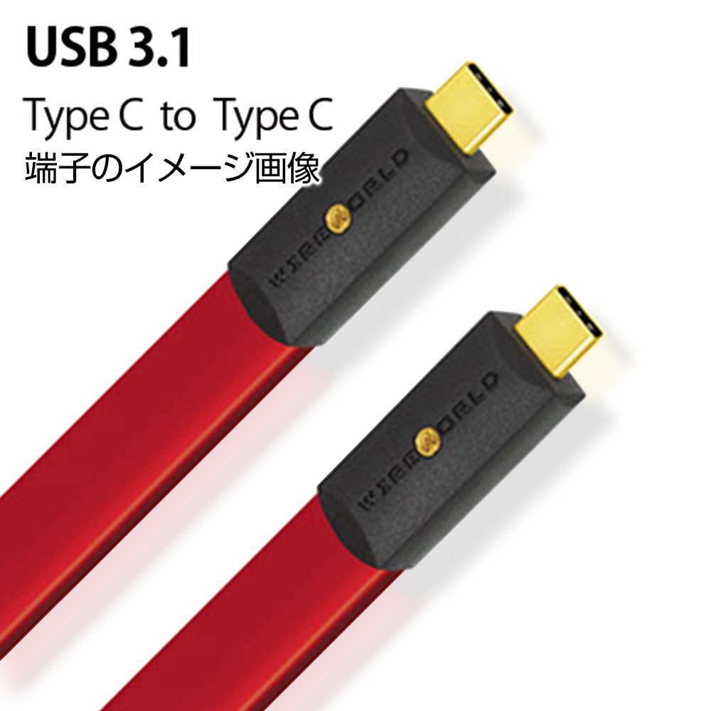 WIREWORLD - S3CC/1.0m（USB3.1ケーブル・C-C）＜Starlight 8＞《e