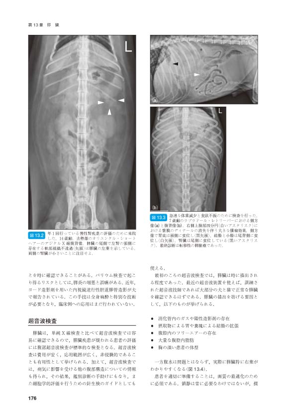 BSAVA 犬と猫の腹部画像診断マニュアル | BSAVAマニュアルシリーズ