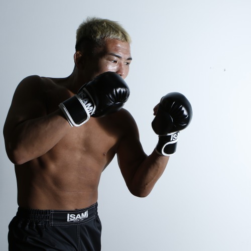 パウンドグローブ | すべての商品 | ISAMI(イサミ) |格闘技 武道具用品
