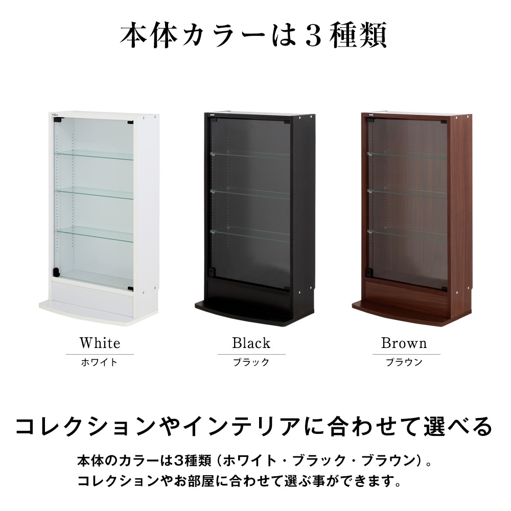 コレクションラック レギュラー ロータイプ 幅55cm×奥行19cm