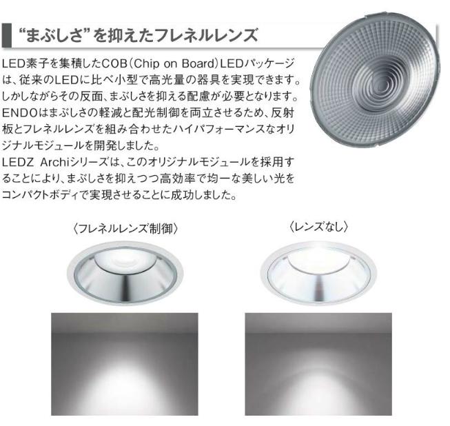 遠藤照明 リプレイスダウンライト 11000TYPE ERD3537W 300φ SmartLEDZ