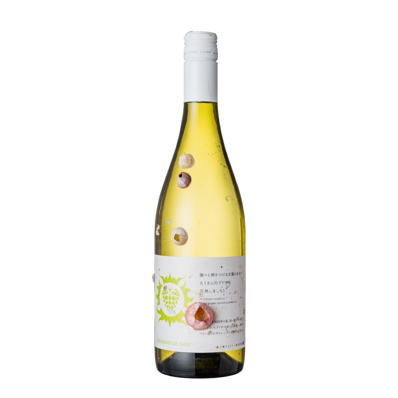 志津川湾海中熟成ワイン CHARDONNAY 2023（白・辛口） | ワイン