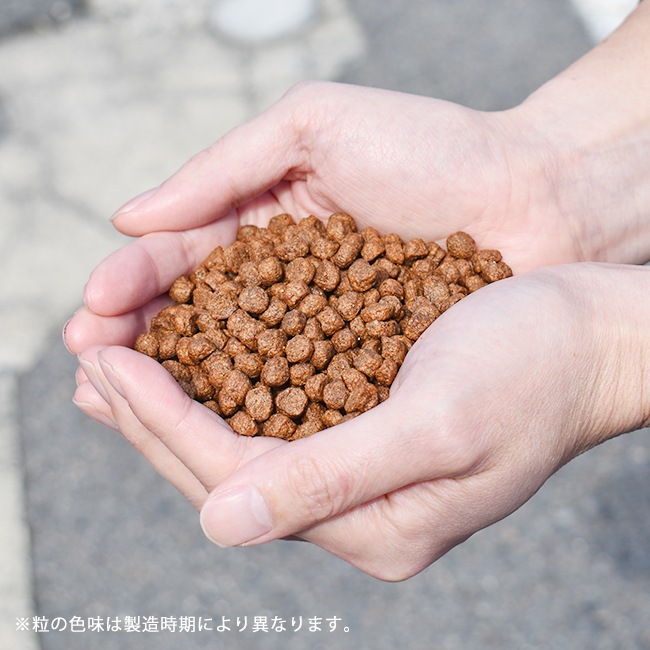 ネイティブドッグ プレミアムフィッシュ 低アレルゲン 3kg 送料無料