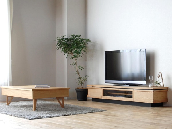 MORITA エルバ・オッジオ テレビ180L ブラウン