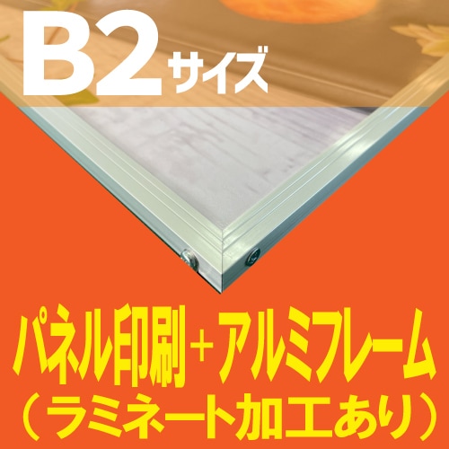 展示パネル印刷+アルミフレームセット【B2サイズ 728×515mm