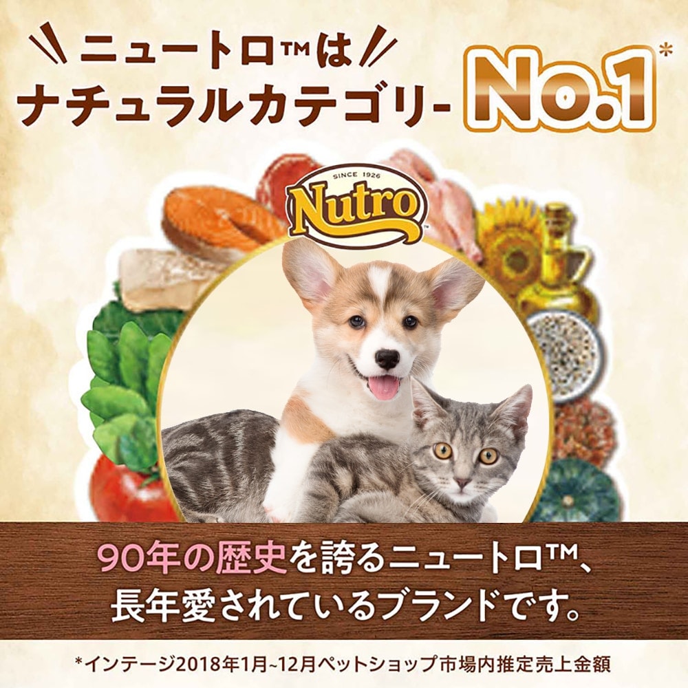 ニュートロ シュプレモ 全犬種用 子犬用 小粒 6kg(犬・ドッグ)[正規品