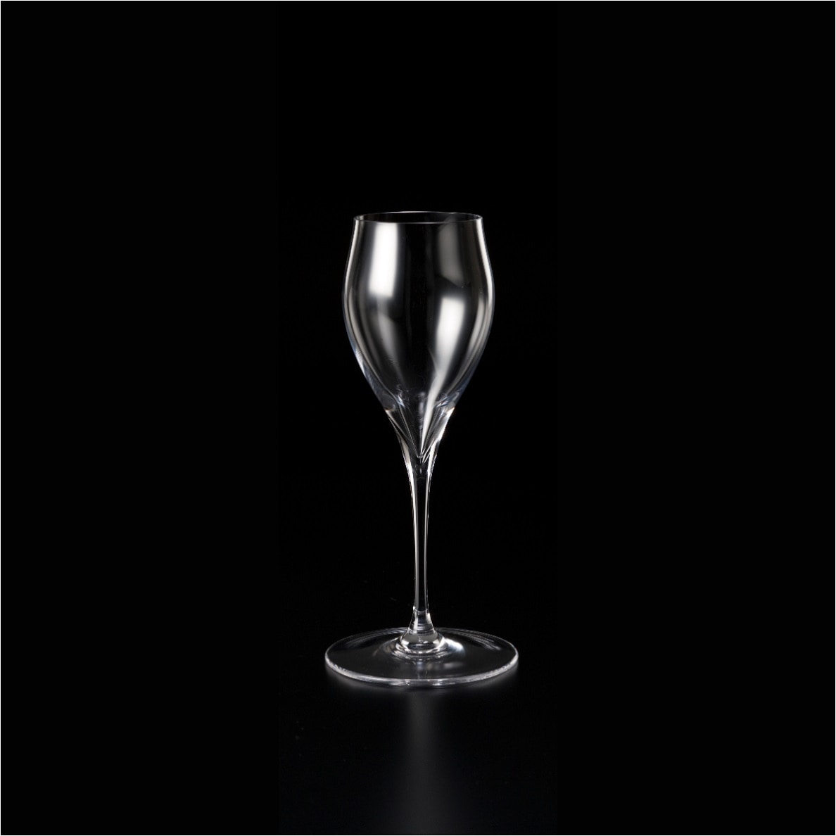 バレリーナ シャンパンチューリップC Ballerina Champagne C