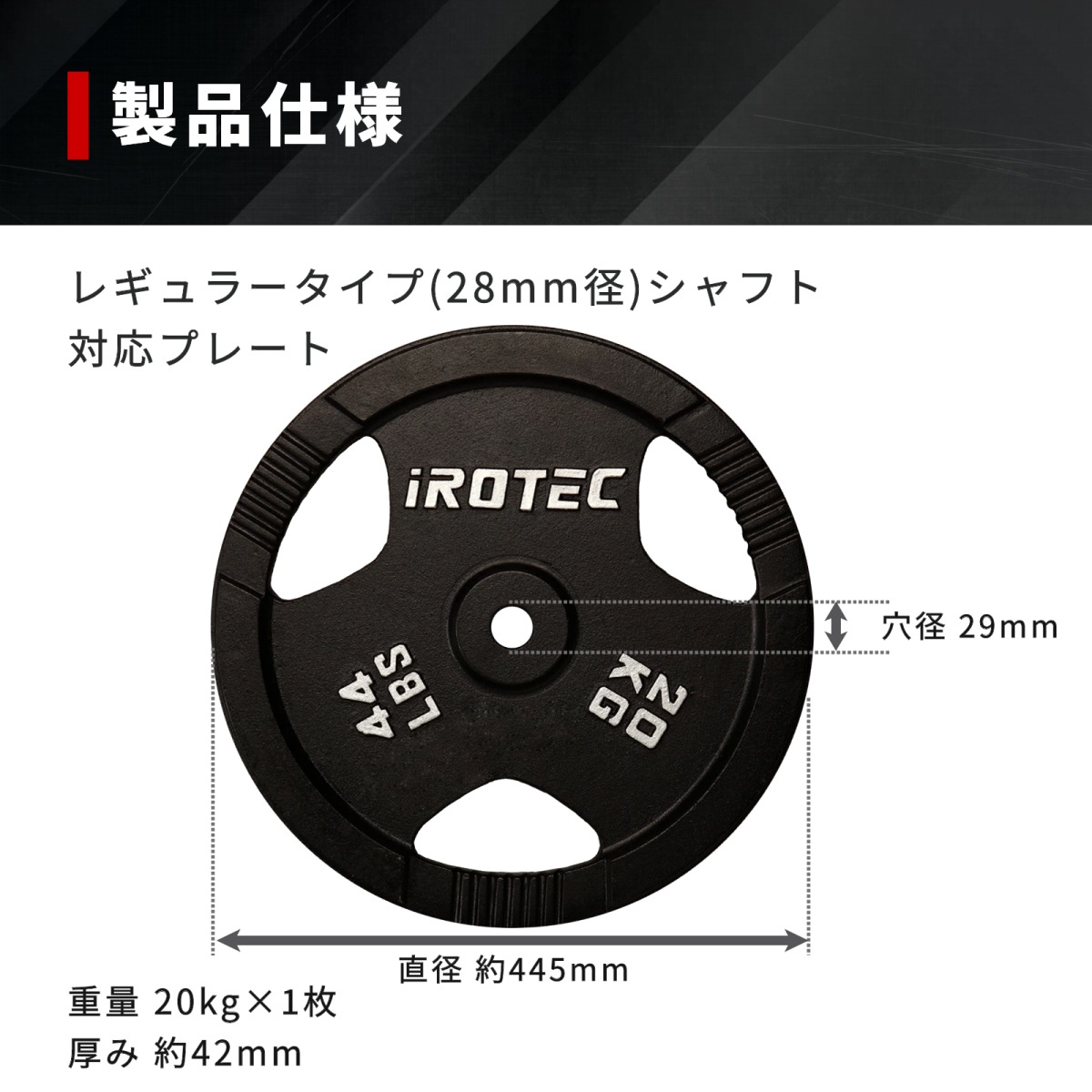 アイアンプレート20kg(1枚)【穴径29mm】 IROTEC (アイロテック)