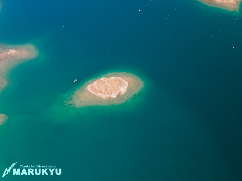 トコイ裏のハダカ〜長崎県佐世保市北九十九島 | マルキユー九州 フカセ