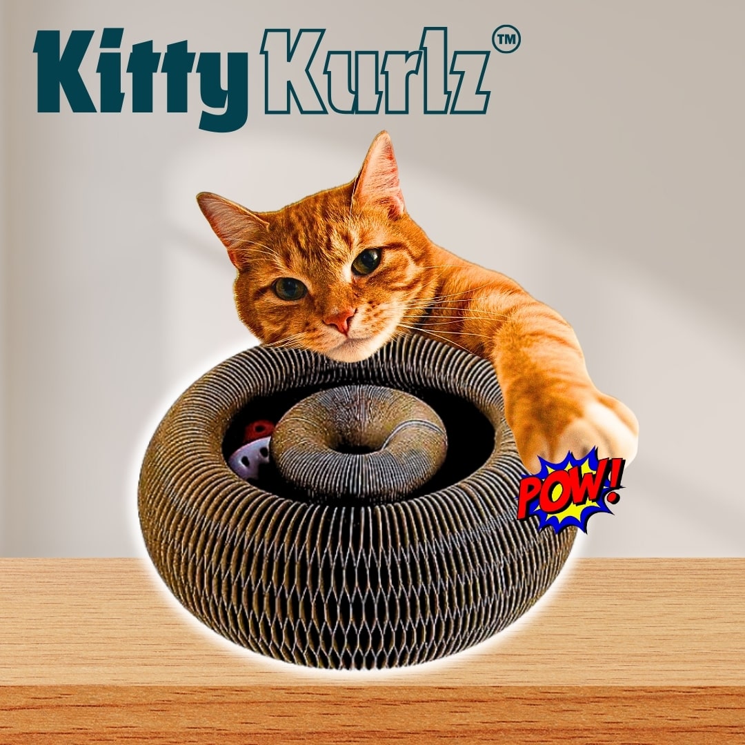 Kitty Kurlz Nap Palace Bundle – Marlene's Pet Shop