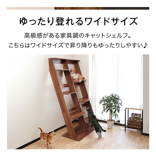 キャットツリー 据え置き ワイド 木製 省スペース 高さ 175cm 幅 97cm