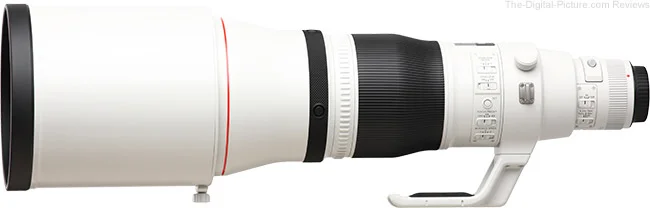 Canon EF 600mm f/4L IS III USM Lens Review