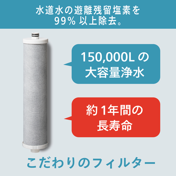 BathSpring バスルーム浄水器 マイクロナノバブル シャワー フィルター