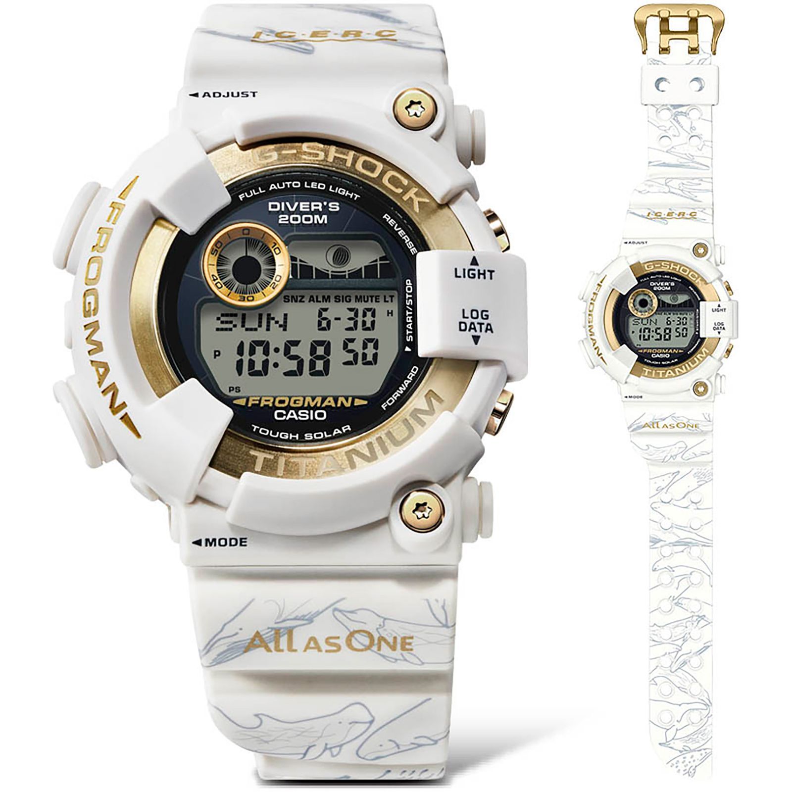 G-SHOCKの“イルクジ”が30周年！ 2024年モデルは、30頭のイルカとクジラ