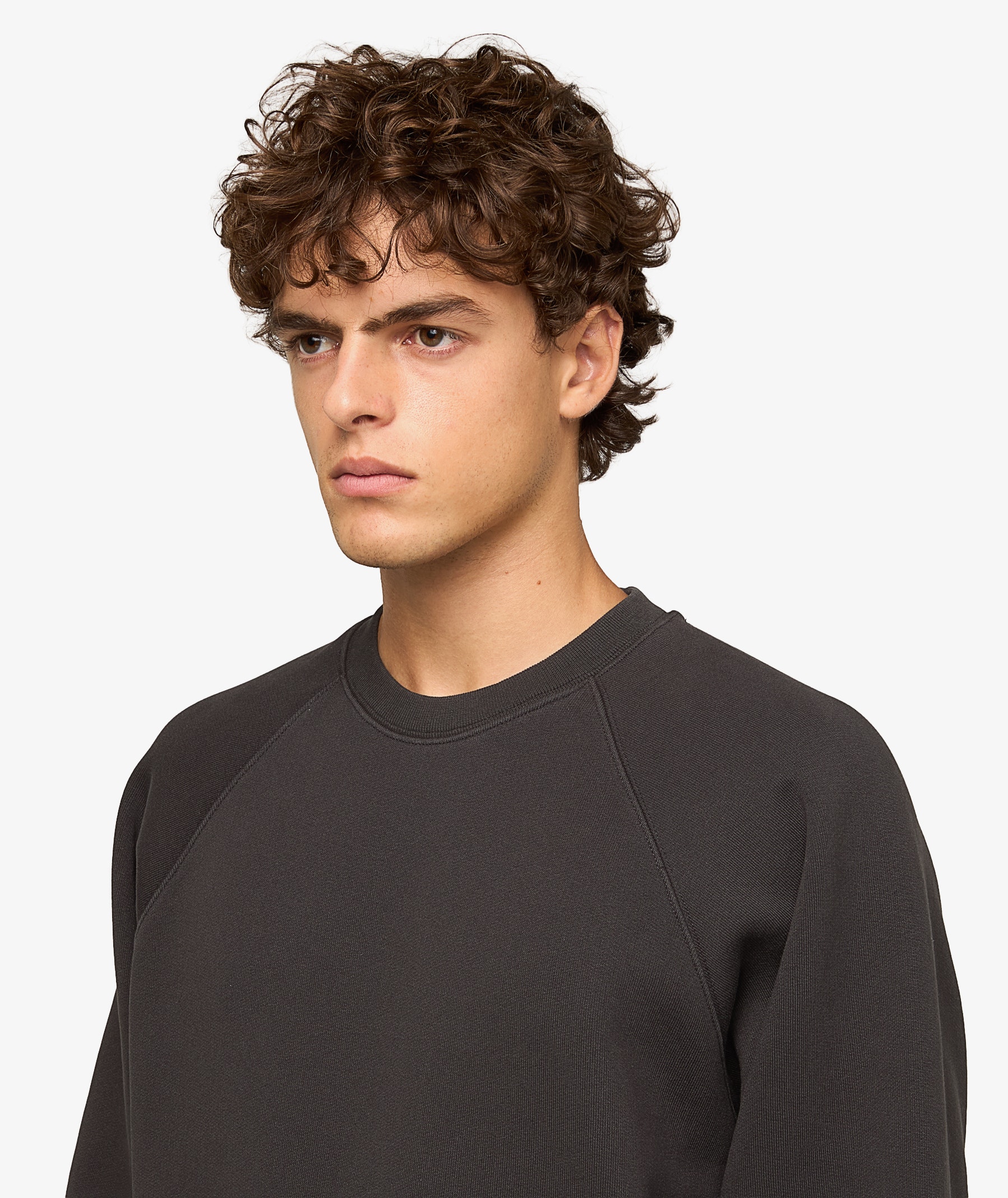Stüssy Fleece Raglan Crewneck | Male | SVD USA