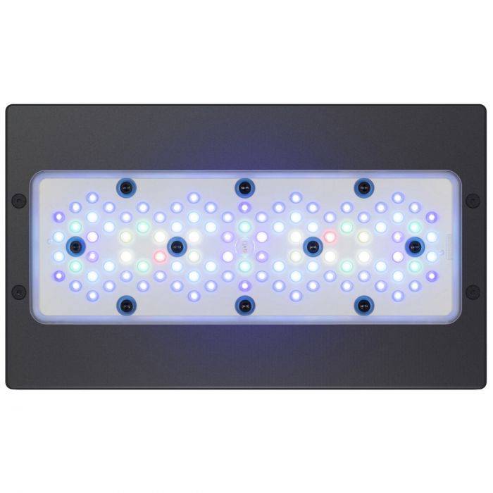 Radion XR30 G5 Blue LED Light Fixture - Bulk Reef Supply