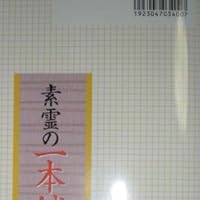 Amazon.co.jp: 素霊の一本鍼 『柳谷秘法一本鍼伝書』を現代臨床に