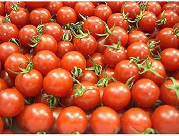 Amazon.co.jp: Small Greengrocer in the Kishu Countryside, Mini