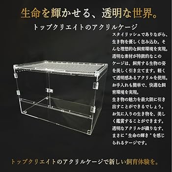 Amazon | 【トップクリエイト】爬虫類ケージ アクリルケージ 飼育