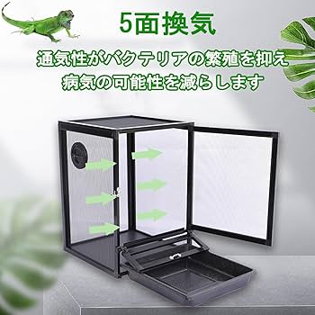 Amazon | Pounjsd カメレオン 飼育ケース 爬虫類 ケージ 32cm 大型